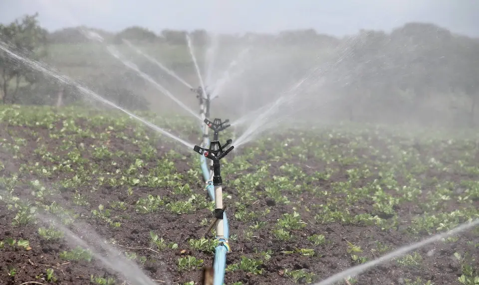 IoT Irrigation Monitor
