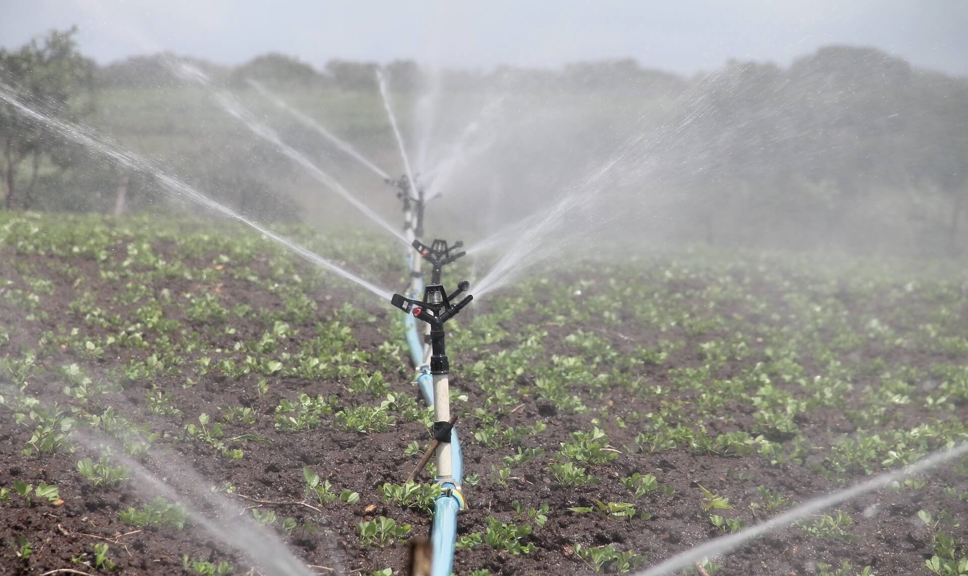 IoT Irrigation Monitor